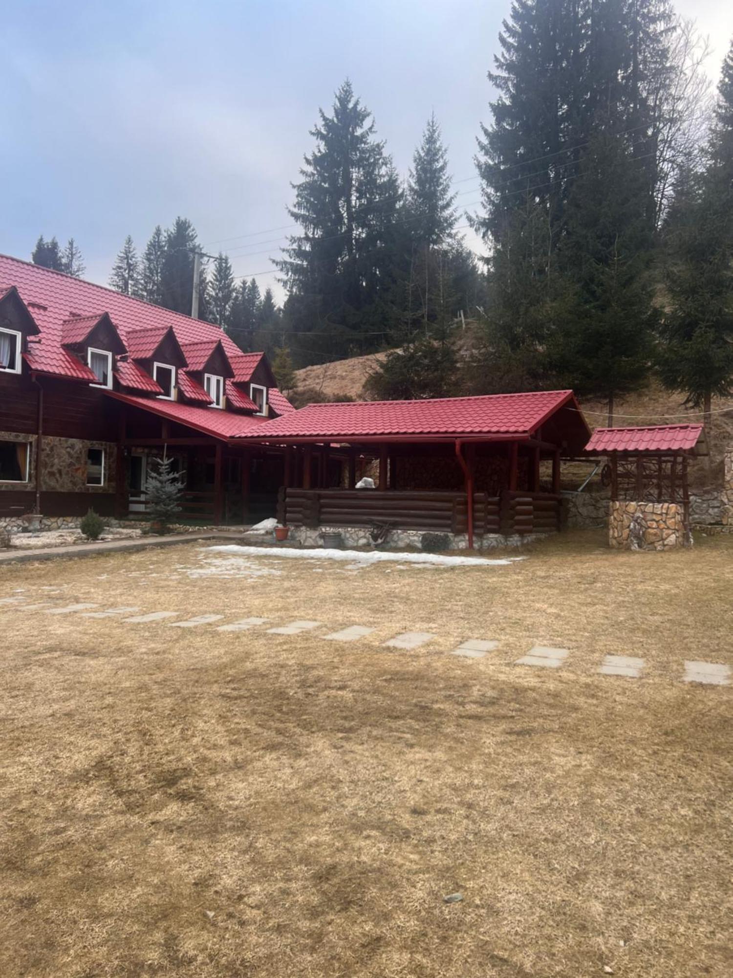 Vila Speranta Arieşeni Exteriér fotografie